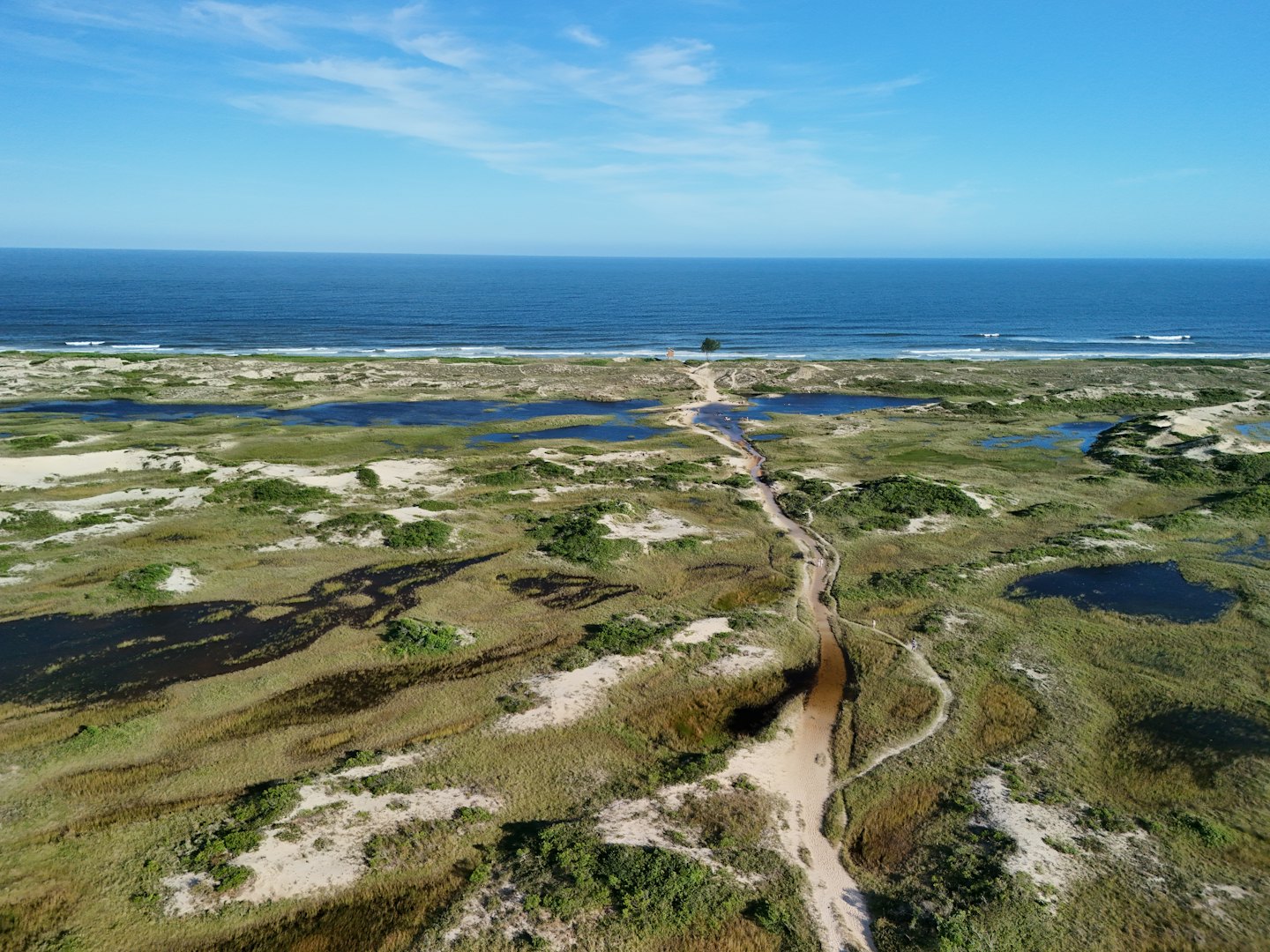 A winding path leads through coastal dunes to the beach.
